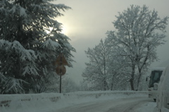 DSC_0018.JPG